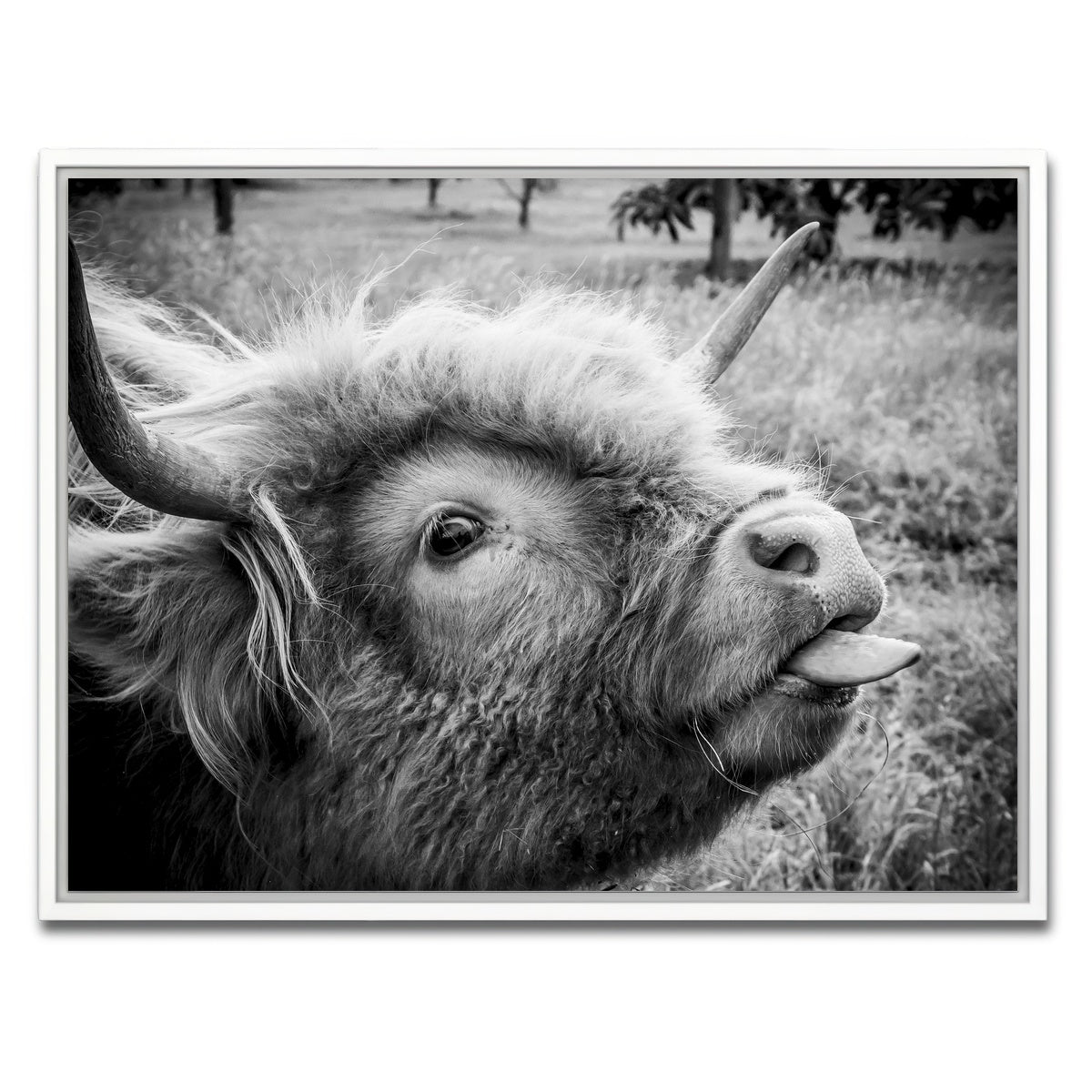 AUTO-MOCKUP WHITE | funny cow | 1 Piece | White Framed Canvas | group=4x3