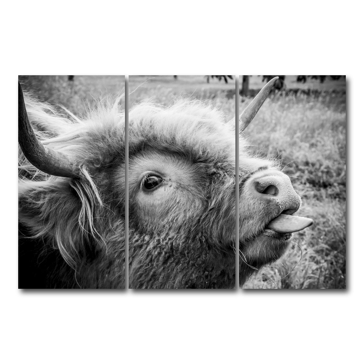 AUTO-MOCKUP WHITE | funny cow | 3 Piece | Gallery Wrap Canvas | group=12x24