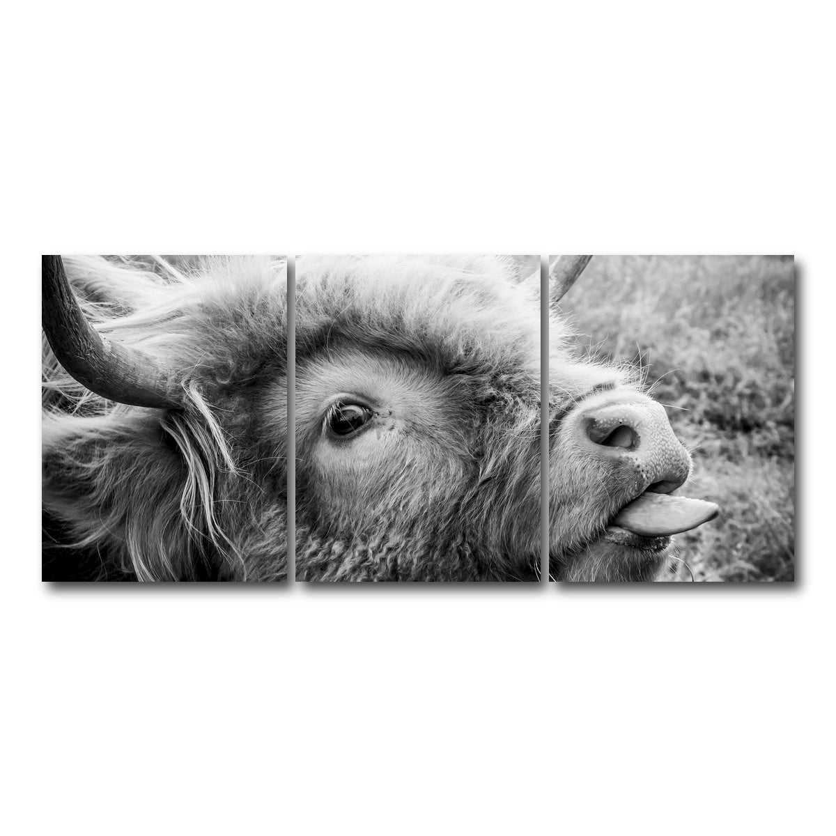 AUTO-MOCKUP WHITE | funny cow | 3 Piece | Gallery Wrap Canvas | group=18x24