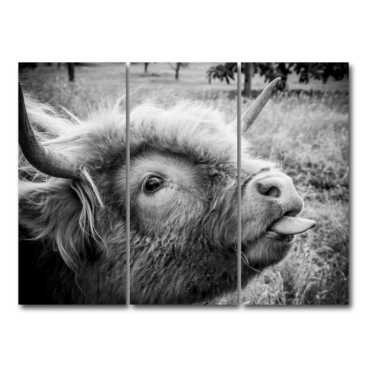 AUTO-MOCKUP WHITE | funny cow | 3 Piece | Gallery Wrap Canvas | group=8x18