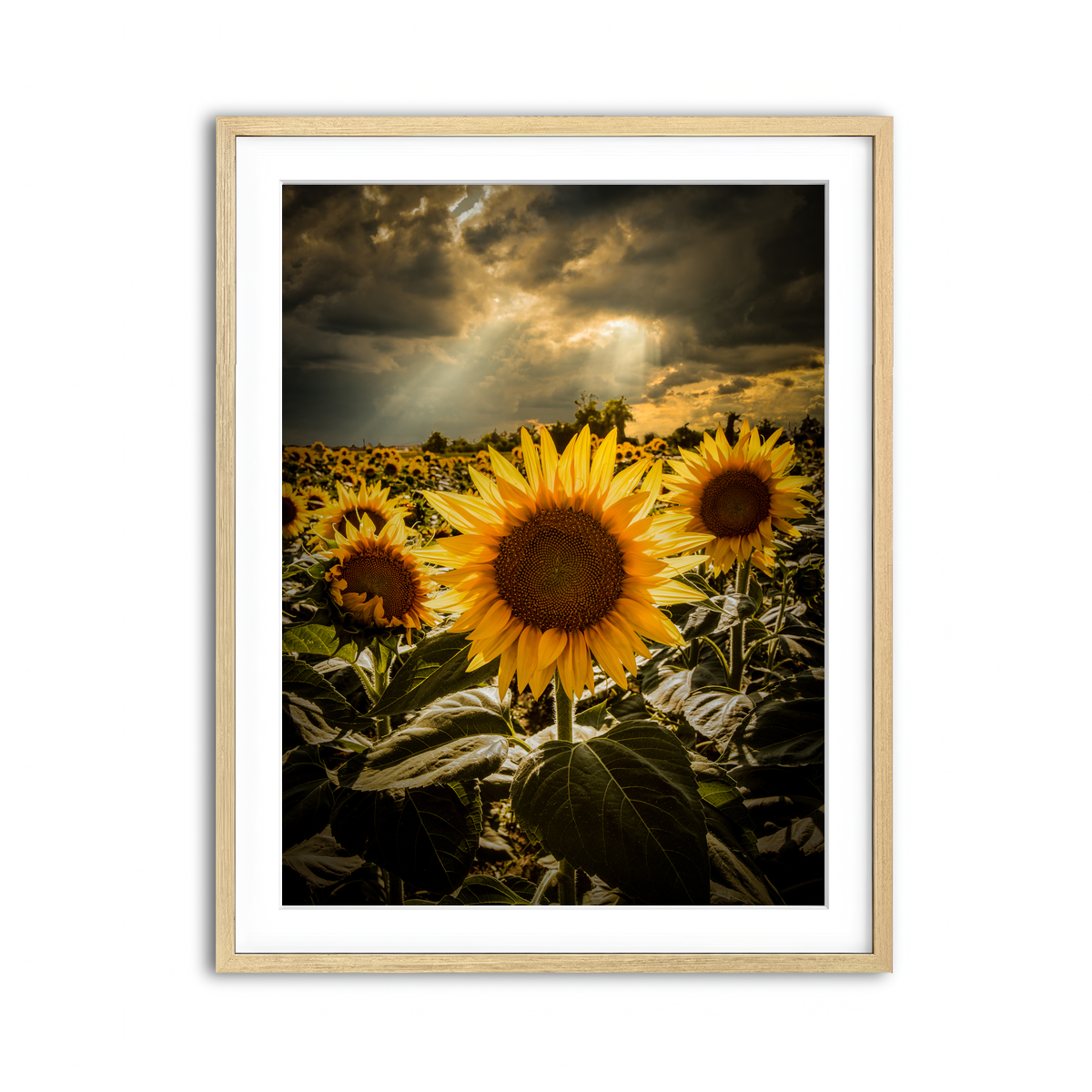 Framed Print 3x4 Natural