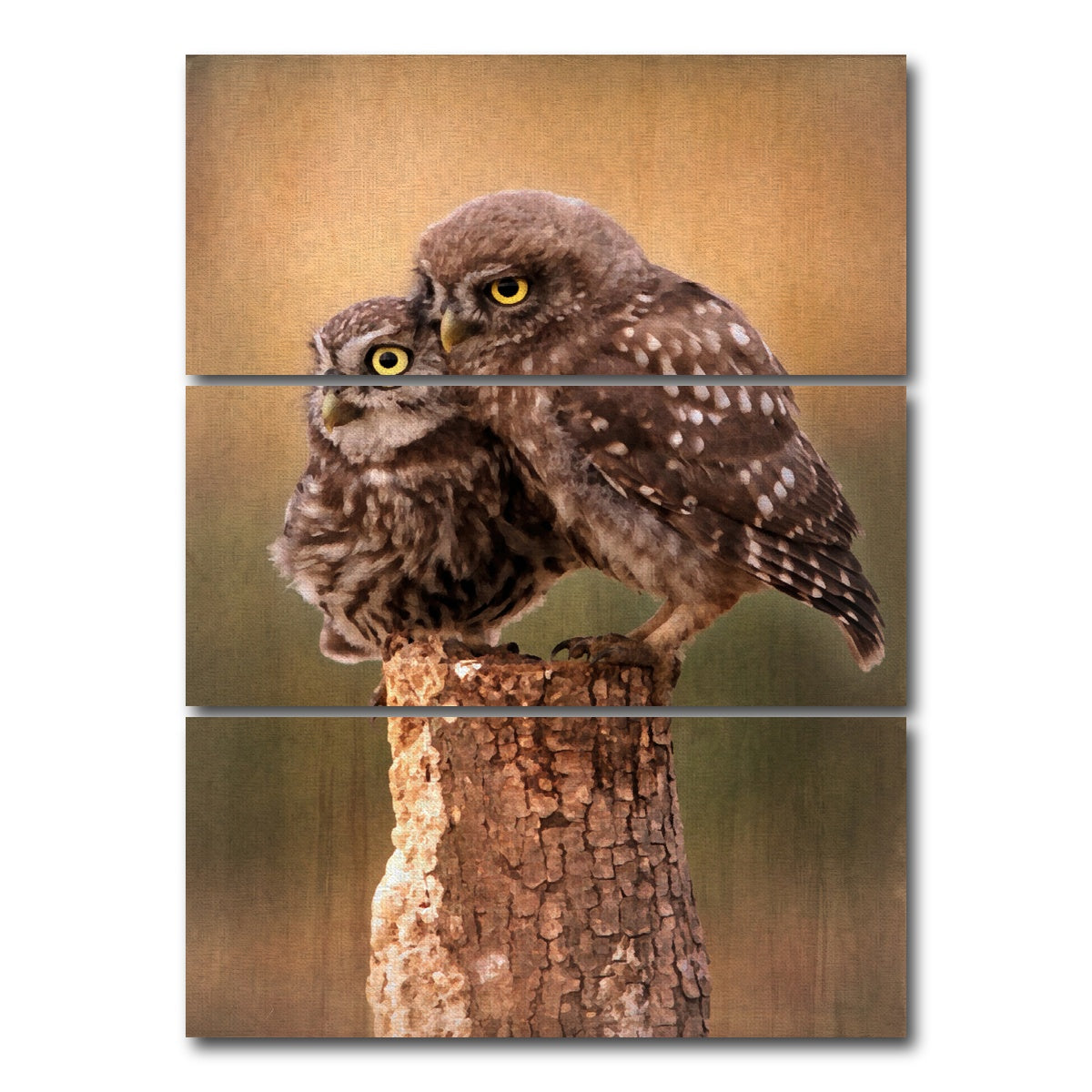 AUTO-MOCKUP WHITE | learning the ropes | 3 Piece | Gallery Wrap Canvas | group=8x18_stacked