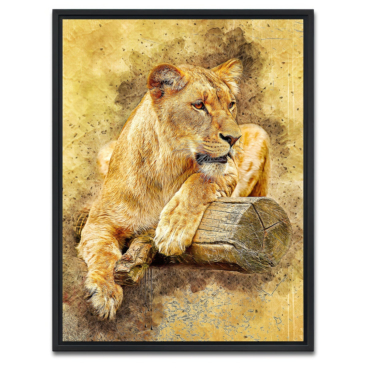 AUTO-MOCKUP WHITE | lioness at rest | 1 Piece | Black Framed Canvas | group=3x4