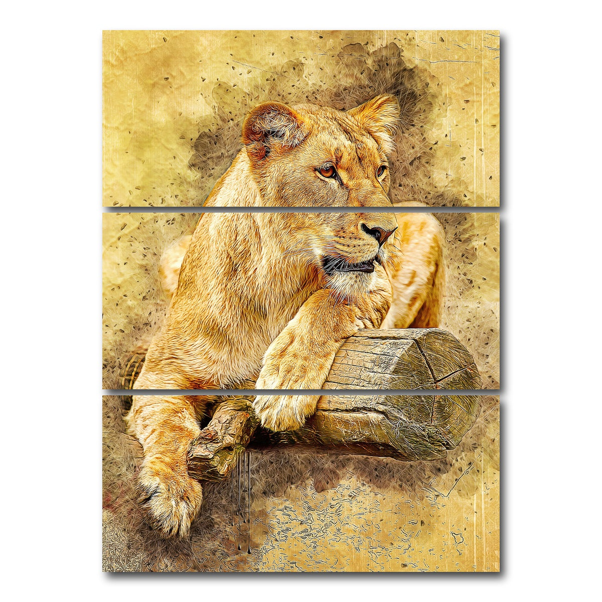 AUTO-MOCKUP WHITE | lioness at rest | 3 Piece | Gallery Wrap Canvas | group=8x18_stacked