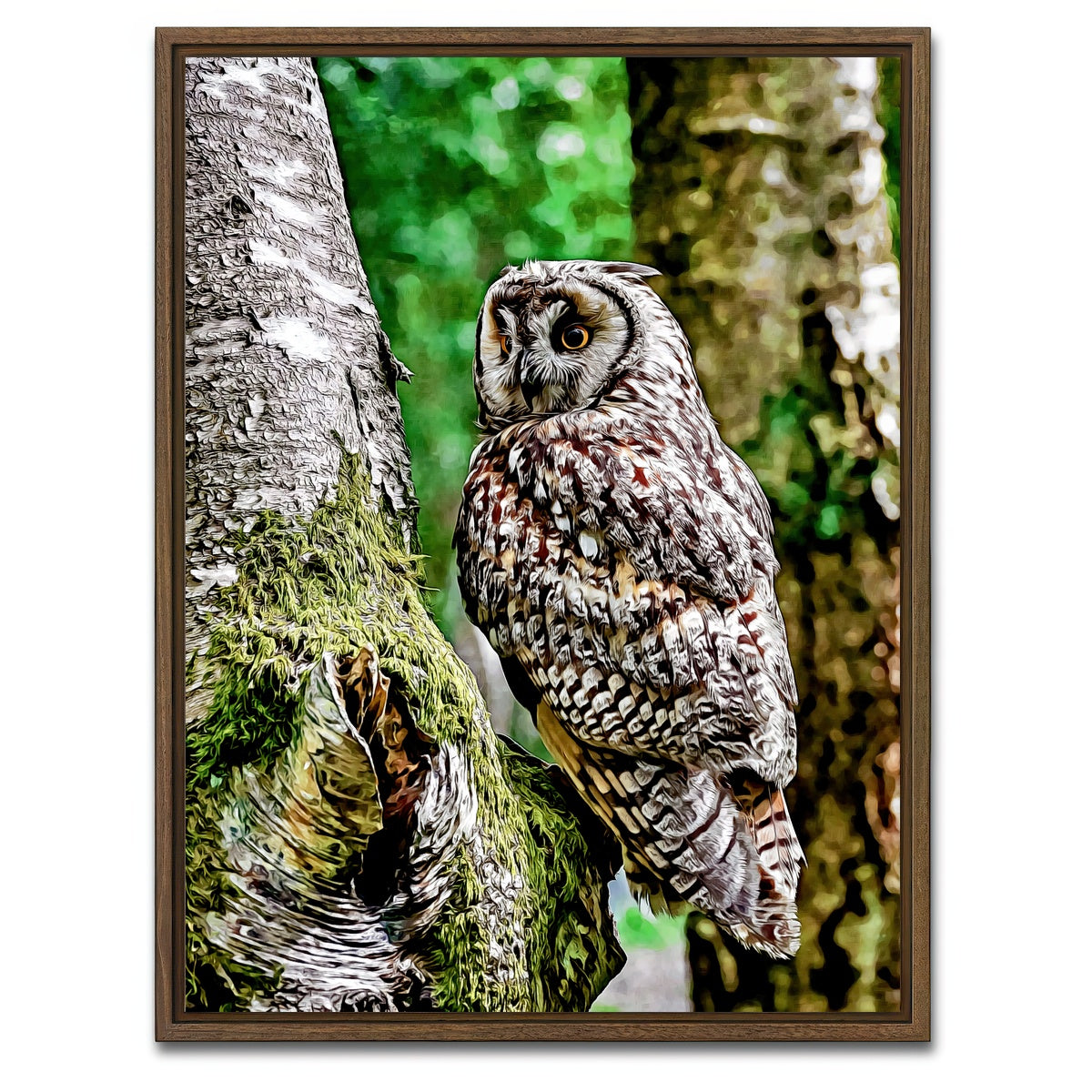 AUTO-MOCKUP WHITE | long eared owl | 1 Piece | Walnut Framed Canvas | group=3x4