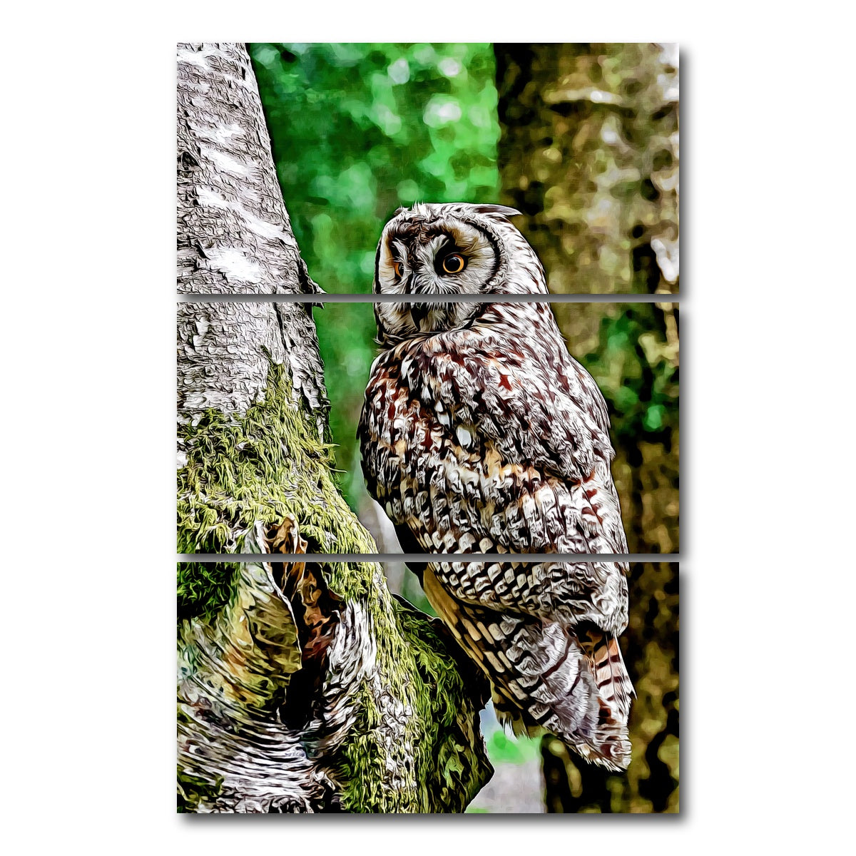 AUTO-MOCKUP WHITE | long eared owl | 3 Piece | Gallery Wrap Canvas | group=12x24_stacked