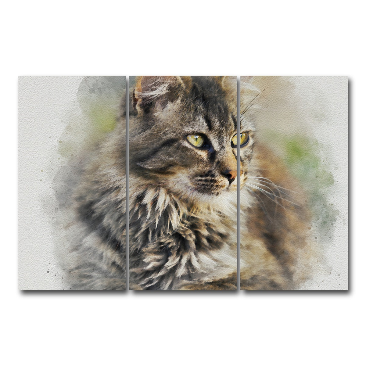 AUTO-MOCKUP WHITE | maine coon cat | 3 Piece | Gallery Wrap Canvas | group=12x24
