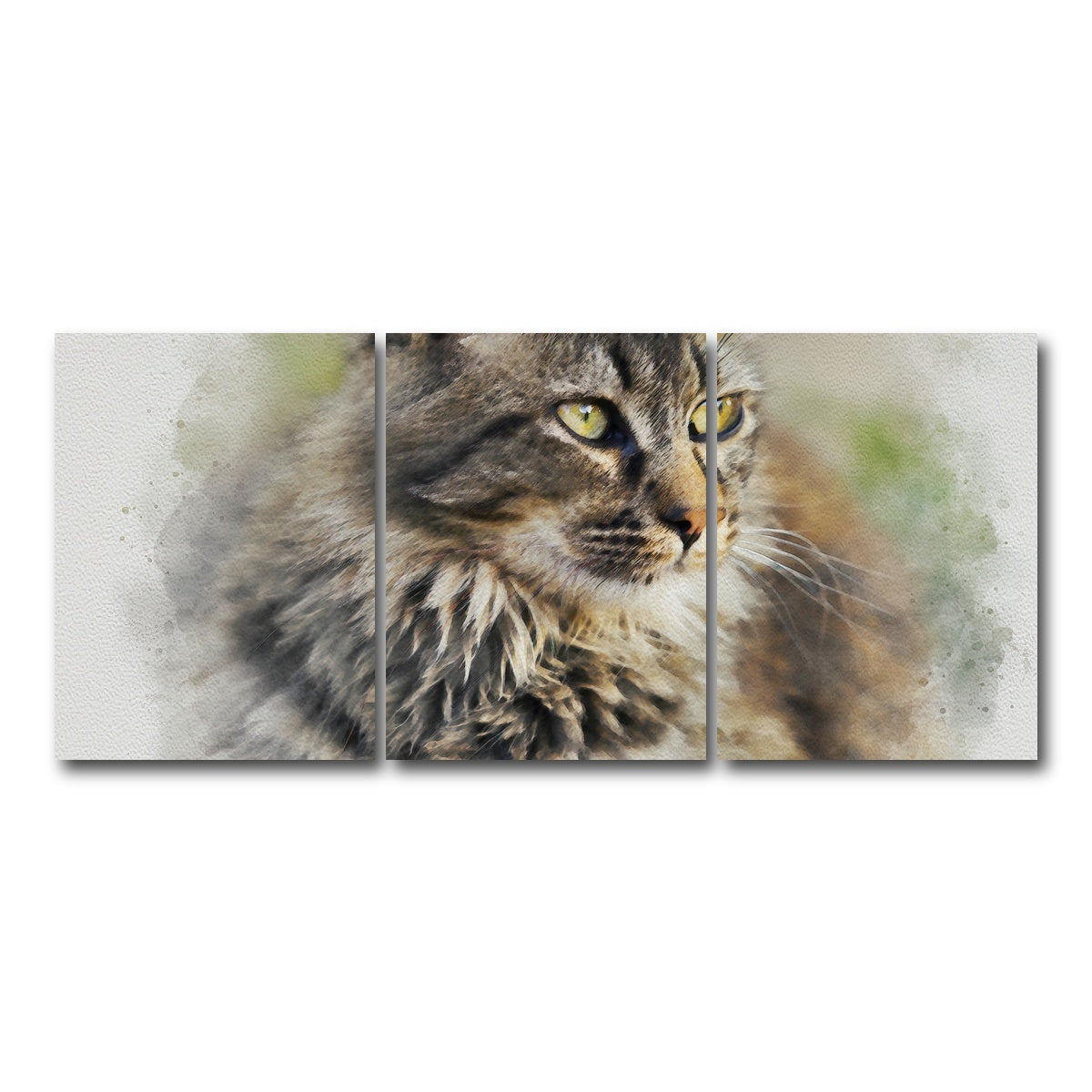 AUTO-MOCKUP WHITE | maine coon cat | 3 Piece | Gallery Wrap Canvas | group=18x24