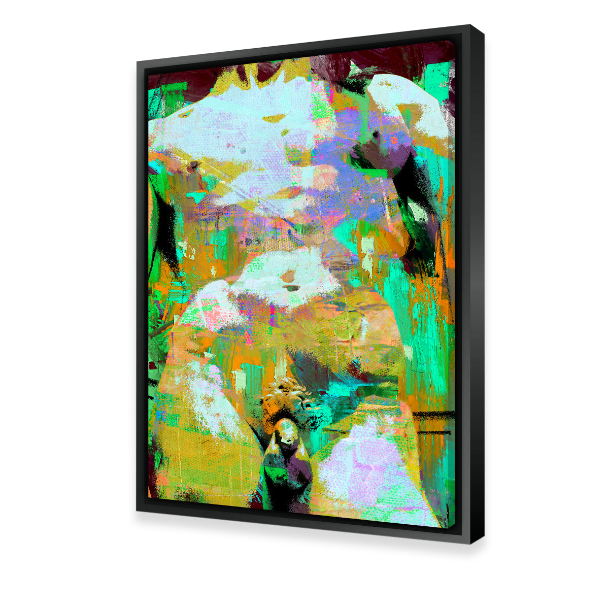 Michelangelo David Torso Wall Art