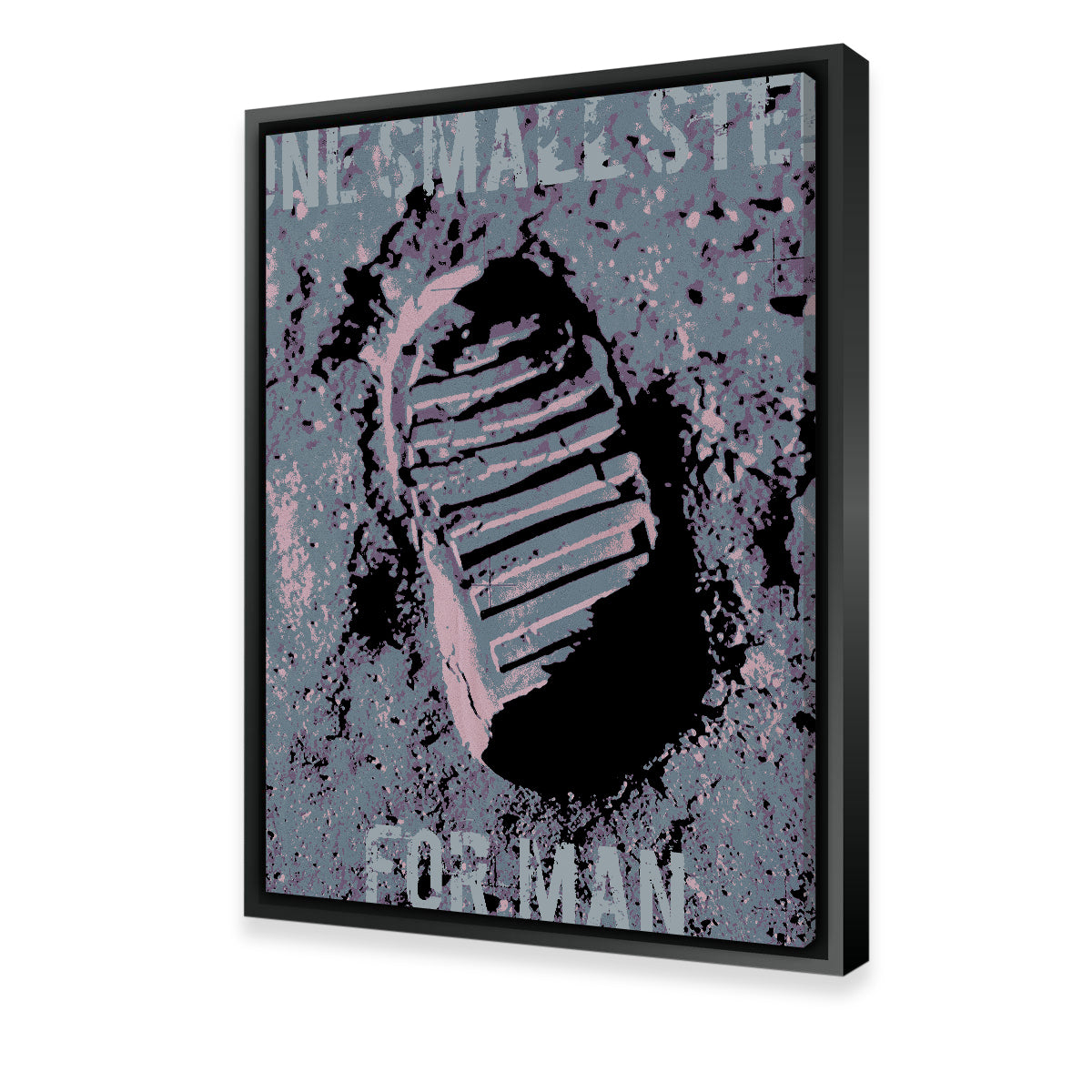 One Small Step Wall Art