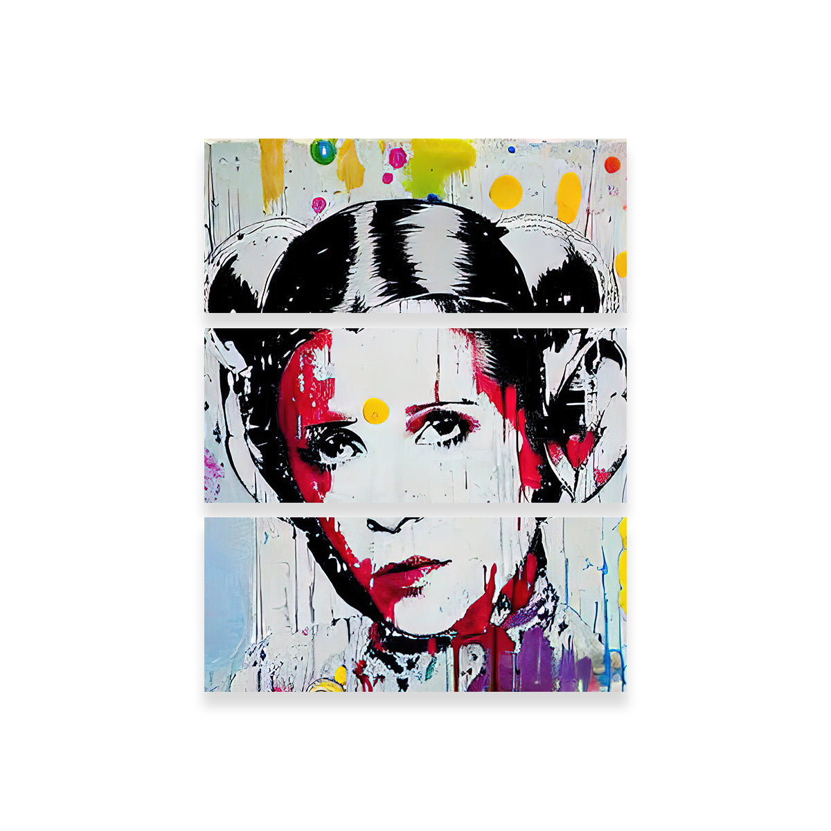 Princess Leia Wall Art