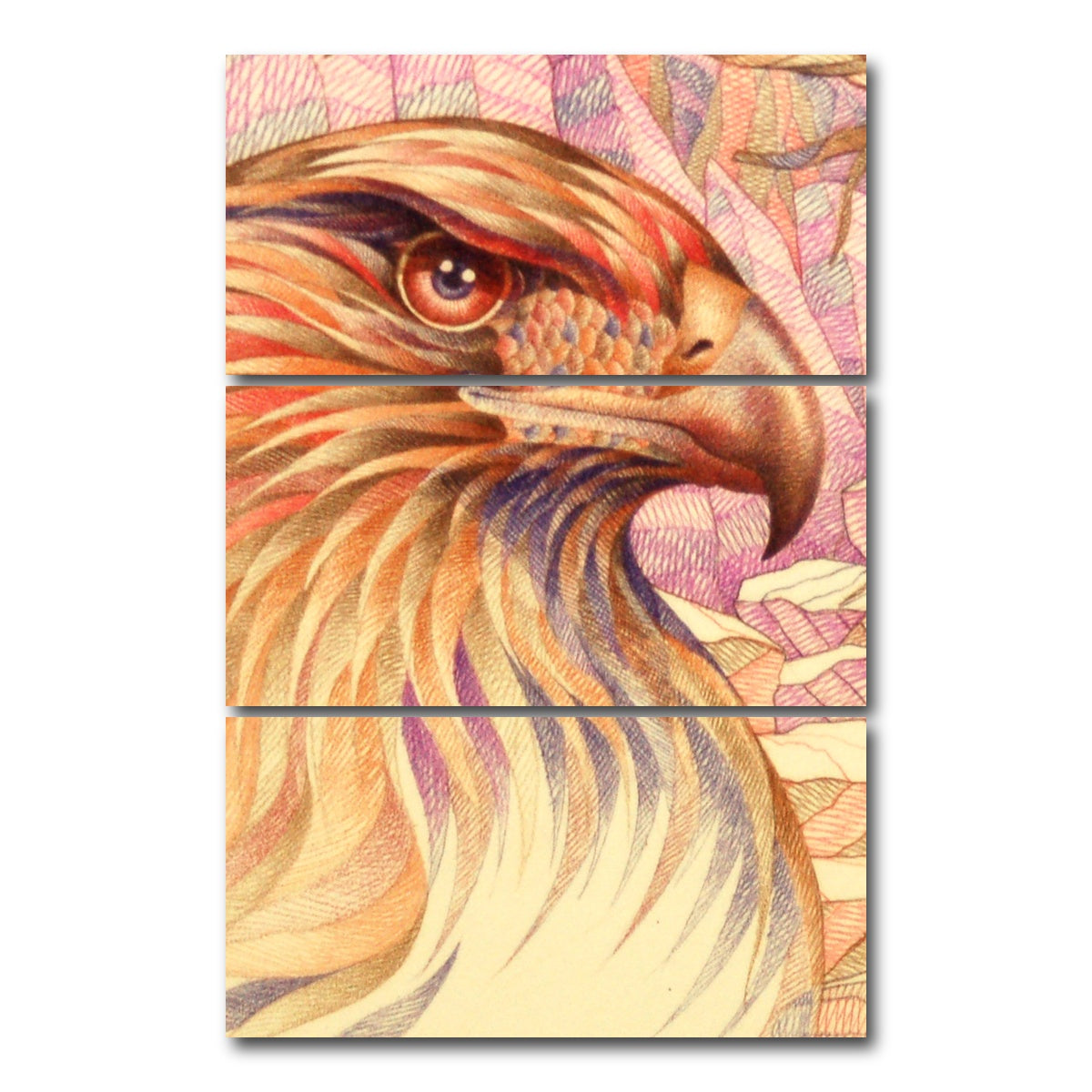 AUTO-MOCKUP WHITE | raptor's on the lookout | 3 Piece | Gallery Wrap Canvas | group=12x24_stacked