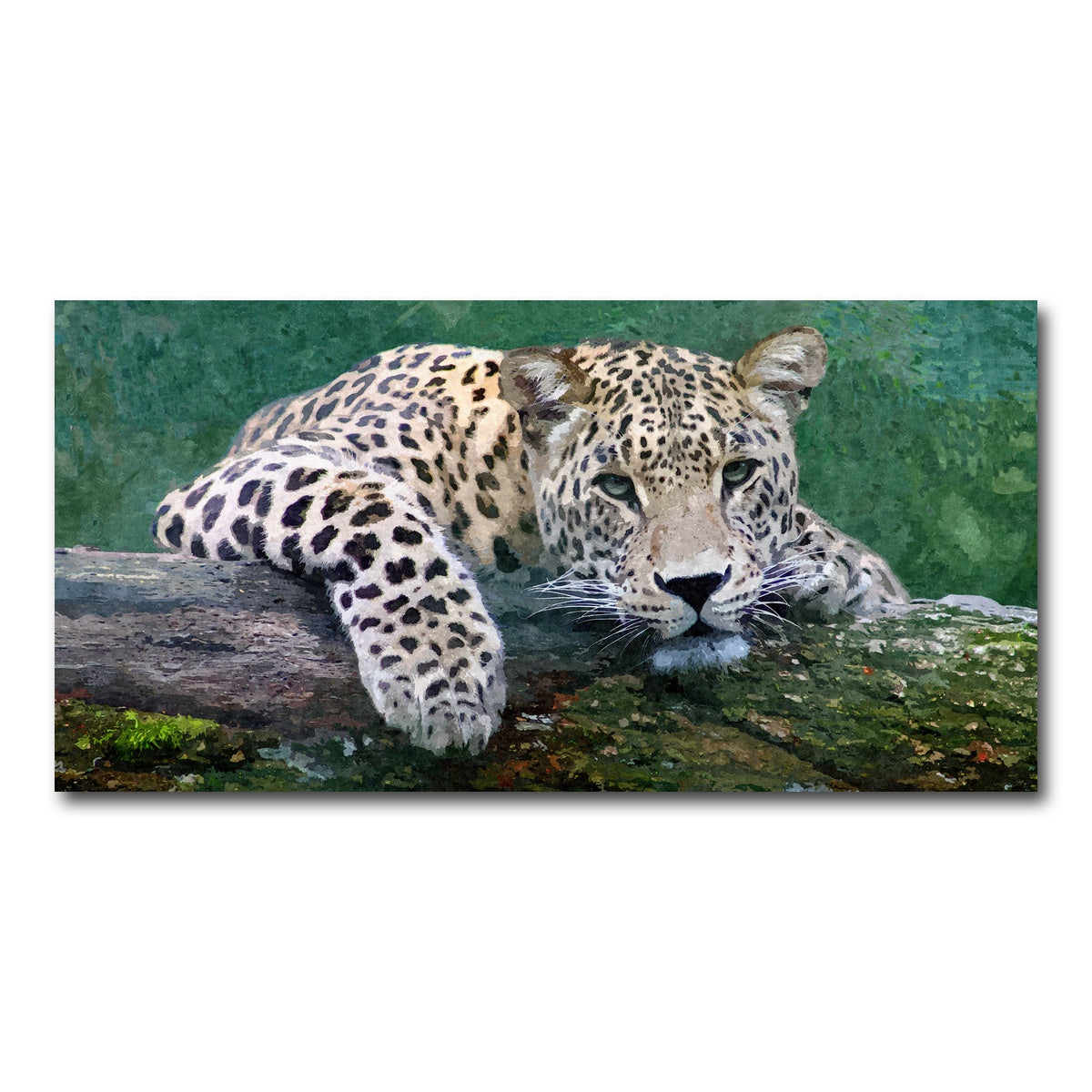 AUTO-MOCKUP WHITE | snow leopard | 1 Piece | Gallery Wrap Canvas | group=2x1
