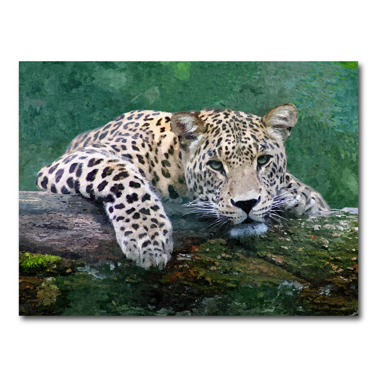 AUTO-MOCKUP WHITE | snow leopard | 1 Piece | Gallery Wrap Canvas | group=4x3