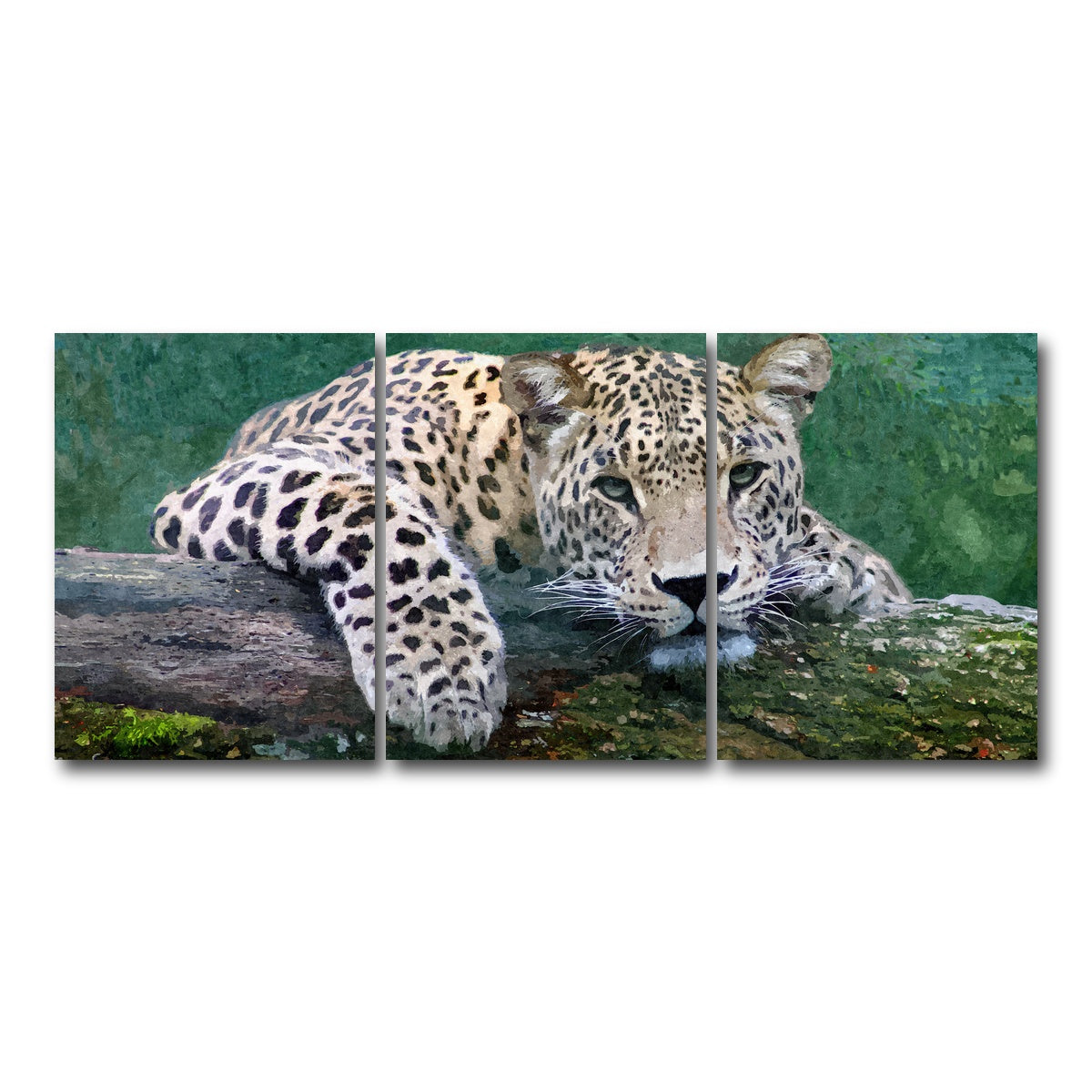 AUTO-MOCKUP WHITE | snow leopard | 3 Piece | Gallery Wrap Canvas | group=18x24