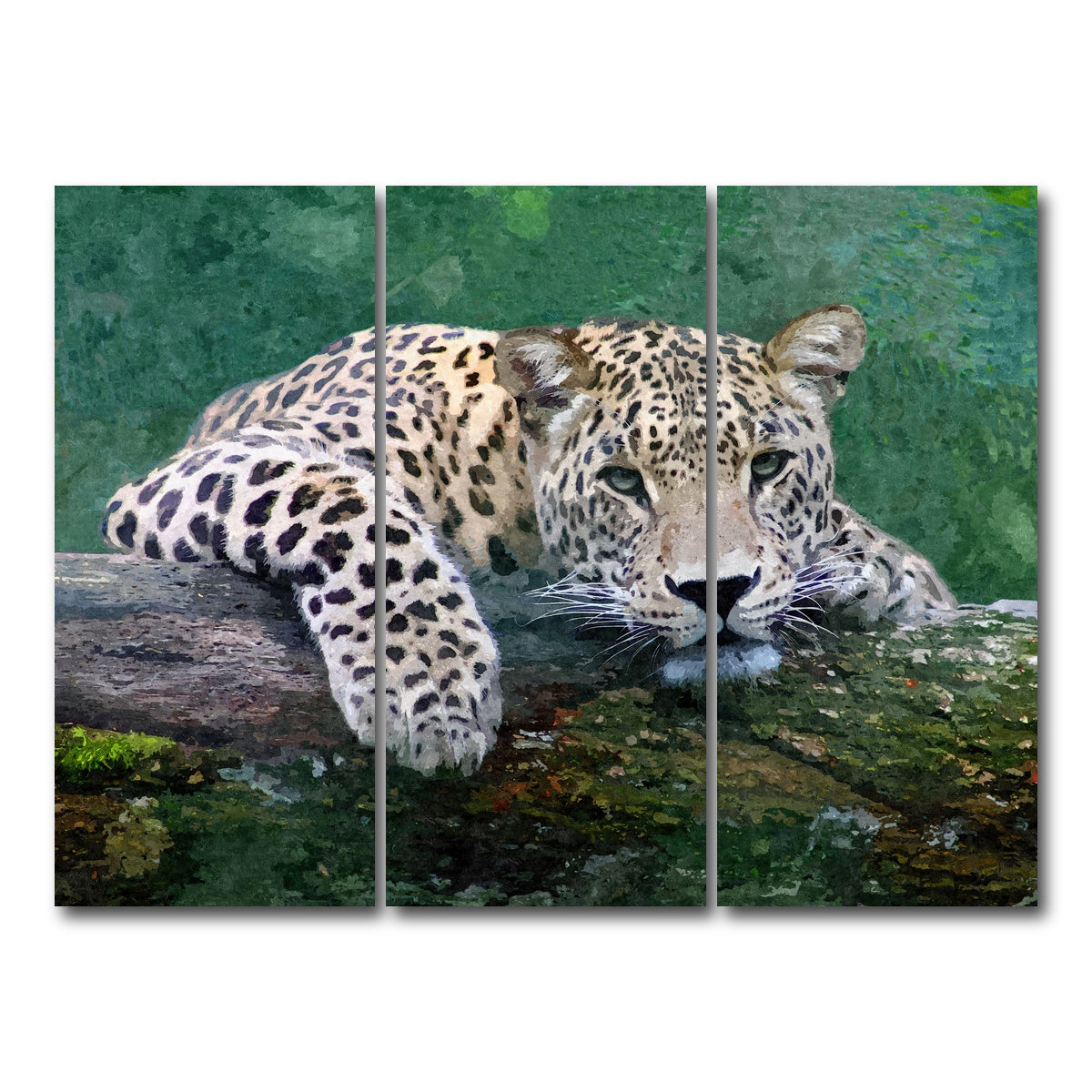 AUTO-MOCKUP WHITE | snow leopard | 3 Piece | Gallery Wrap Canvas | group=8x18