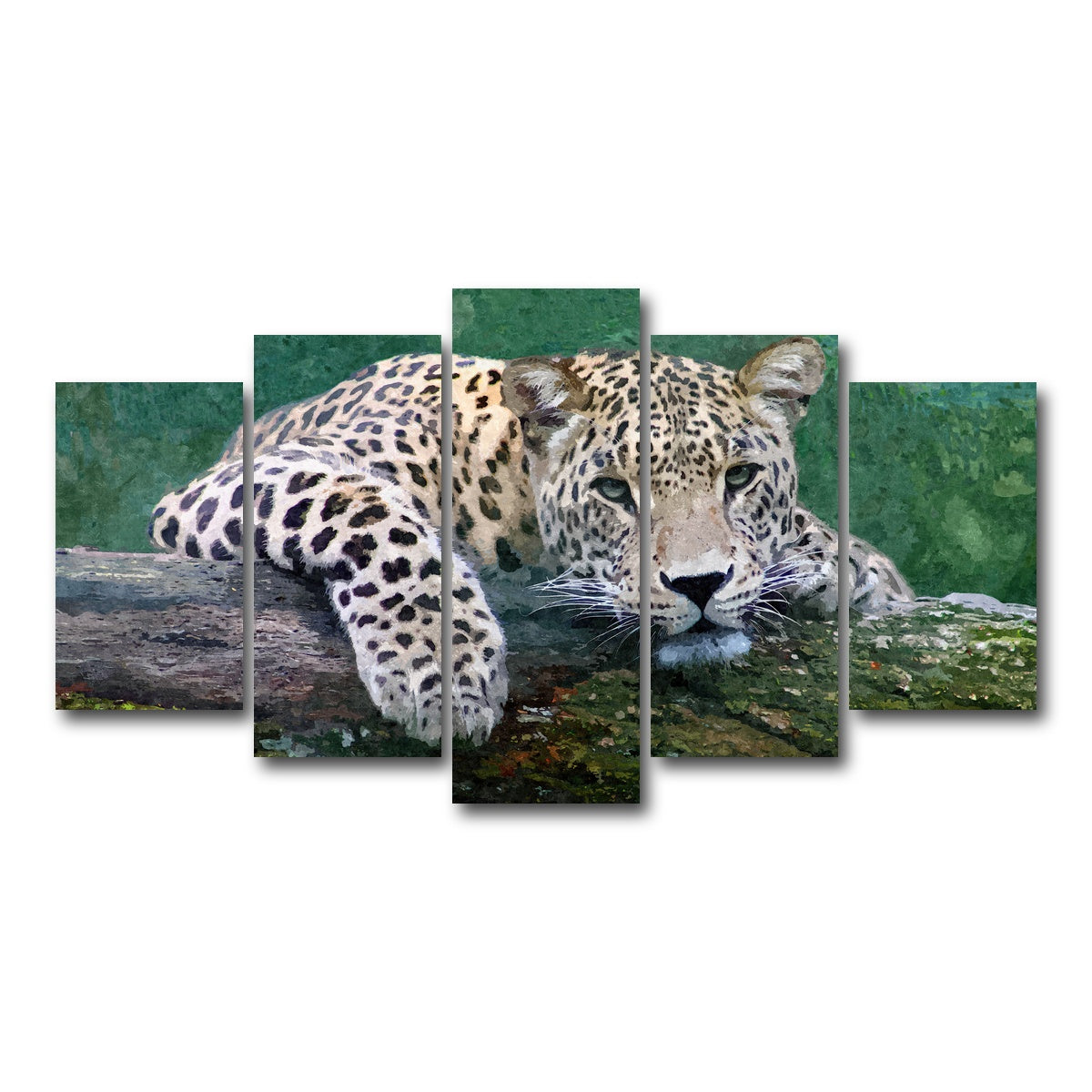 AUTO-MOCKUP WHITE | snow leopard | 5 Piece | Gallery Wrap Canvas | group=5_normal