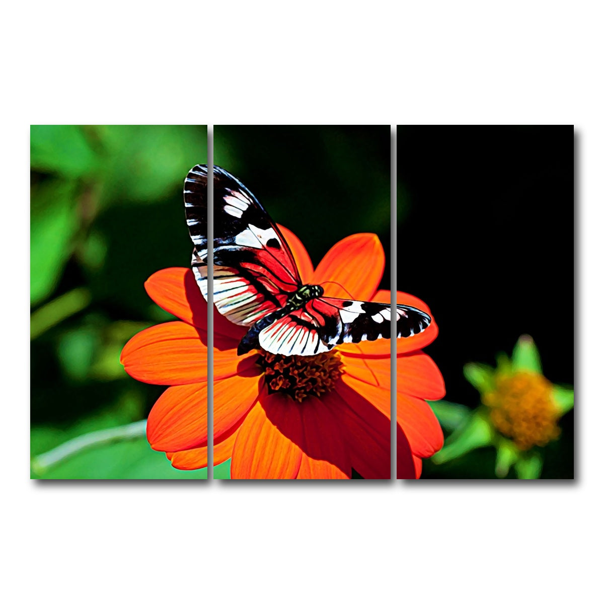 AUTO-MOCKUP WHITE | vibrant butterfly | 3 Piece | Gallery Wrap Canvas | group=12x24