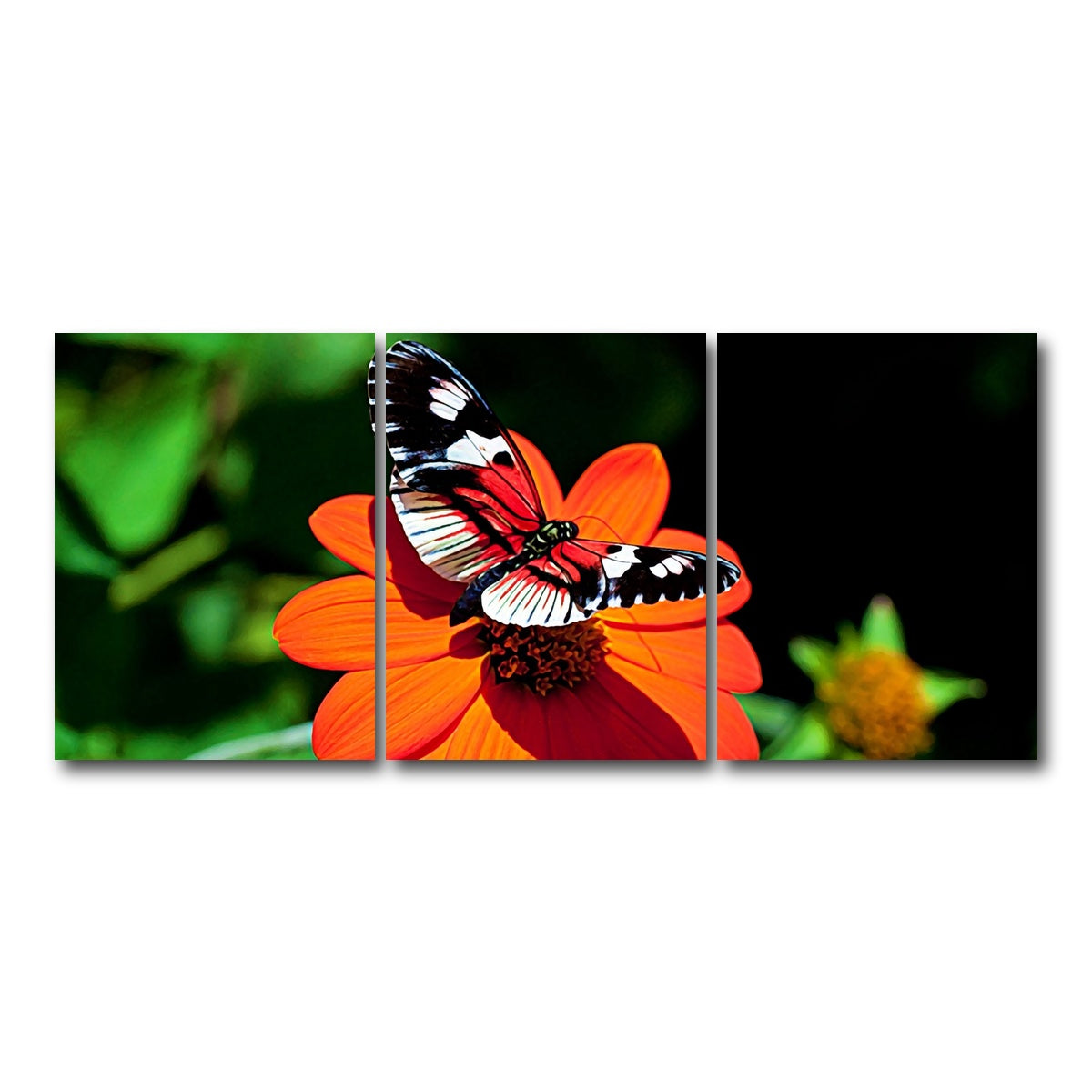 AUTO-MOCKUP WHITE | vibrant butterfly | 3 Piece | Gallery Wrap Canvas | group=18x24