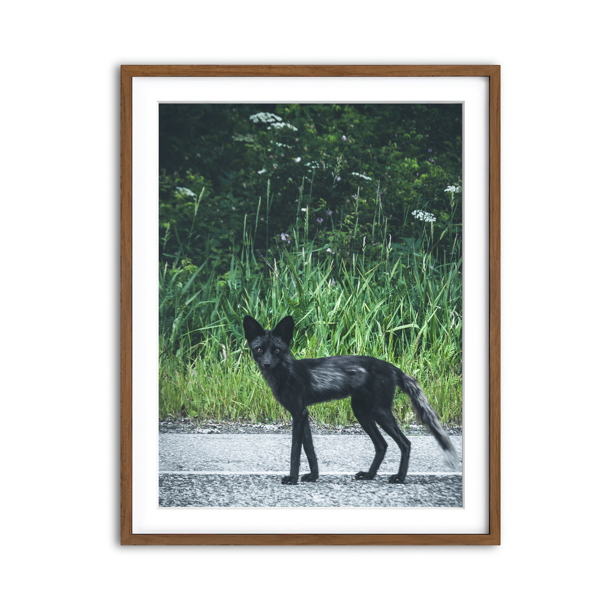 Framed Print 3x4 Walnut