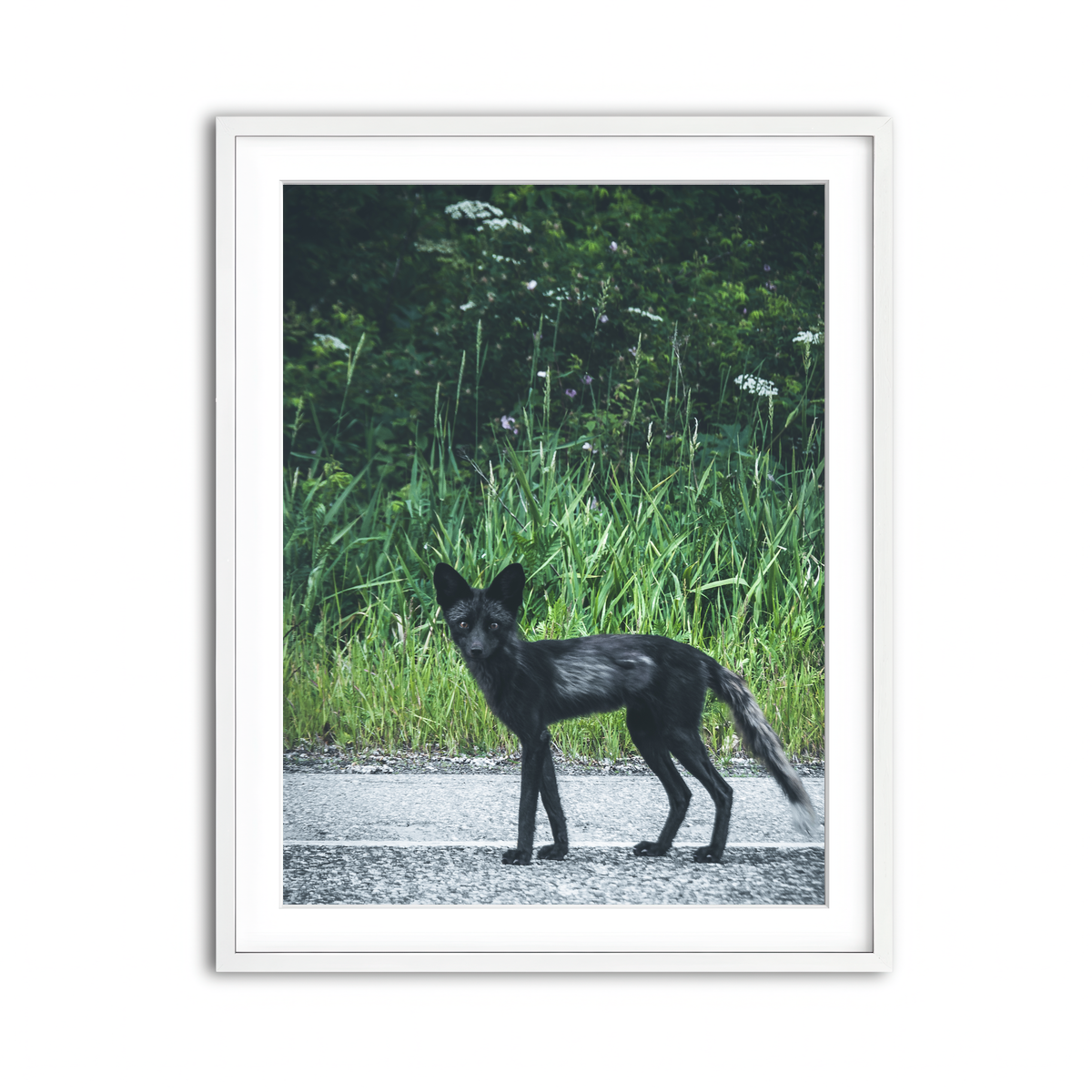 Framed Print 3x4 White