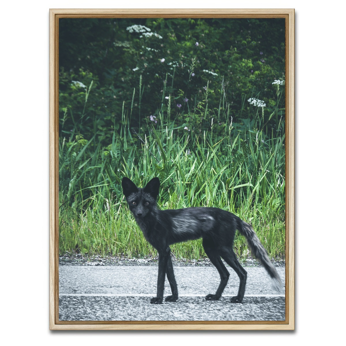 AUTO-MOCKUP WHITE | wildlife northern bc | 1 Piece | Natural Framed Canvas | group=3x4