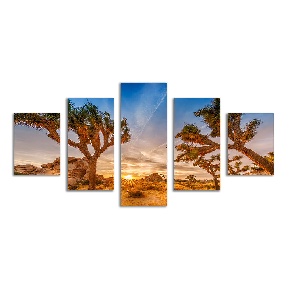 Sunset at Joshua Tree National Park Wall Art