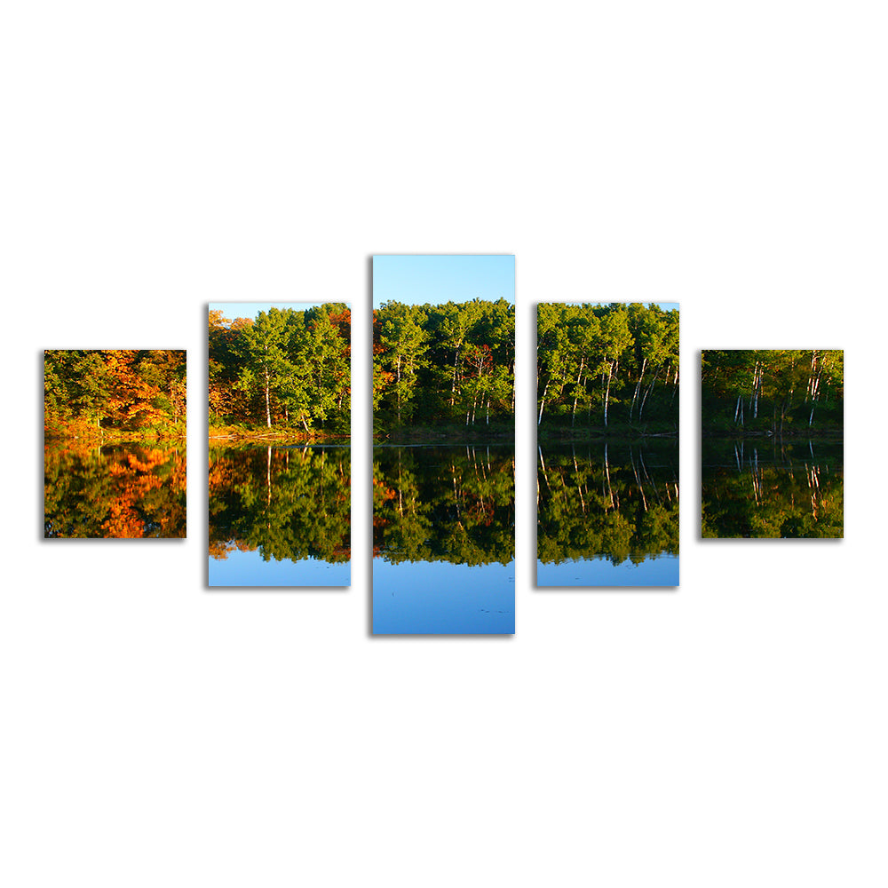 Kettle Moraine State Forest Wall Art