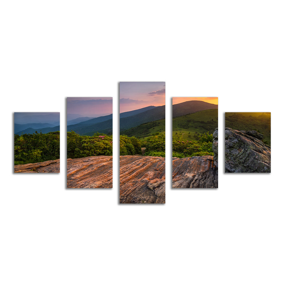 Appalachian Trail Roan Mountain state Park Wall Art