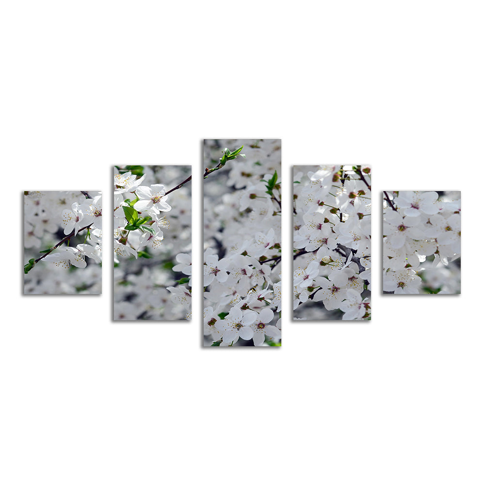 Apple Tree Blossoms Wall Art