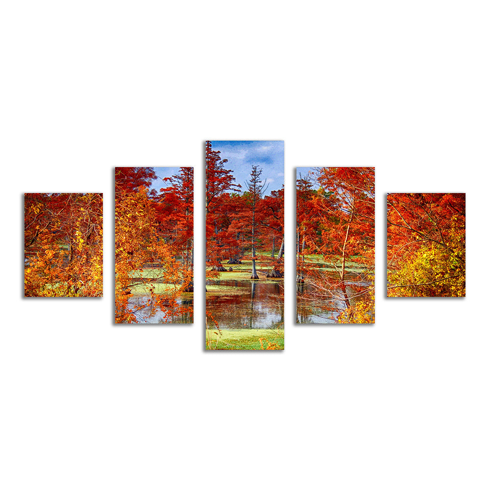 Lake Conway Cypress Trees Wall Art