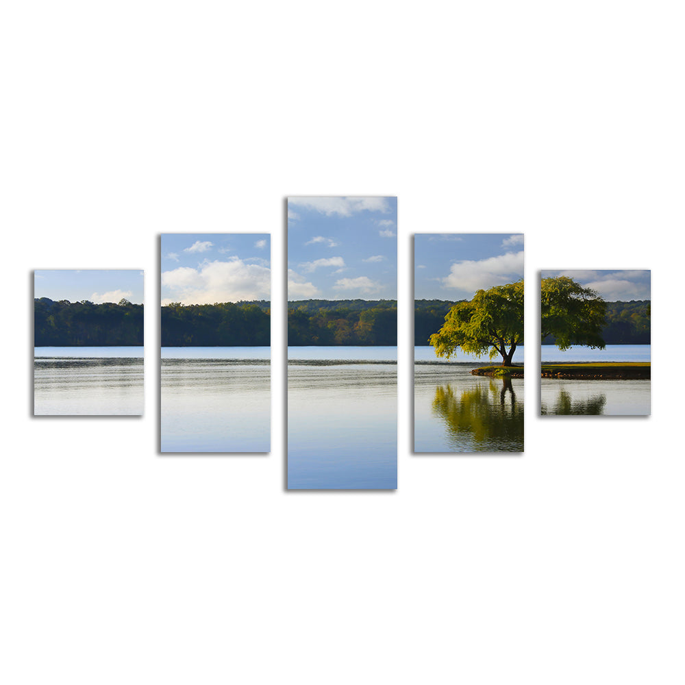 Willow Tree On The Tennessee River Wall Art