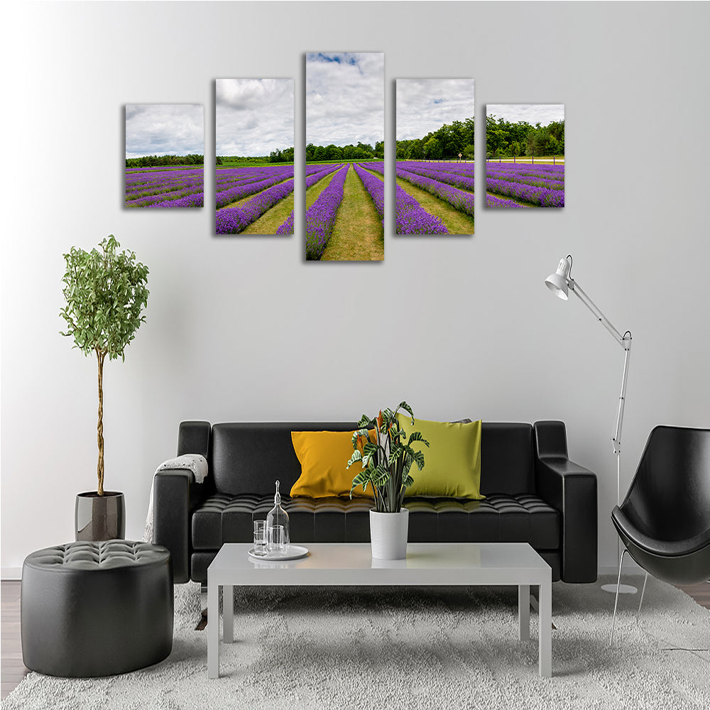 Lavender Rose Door County Wall Art