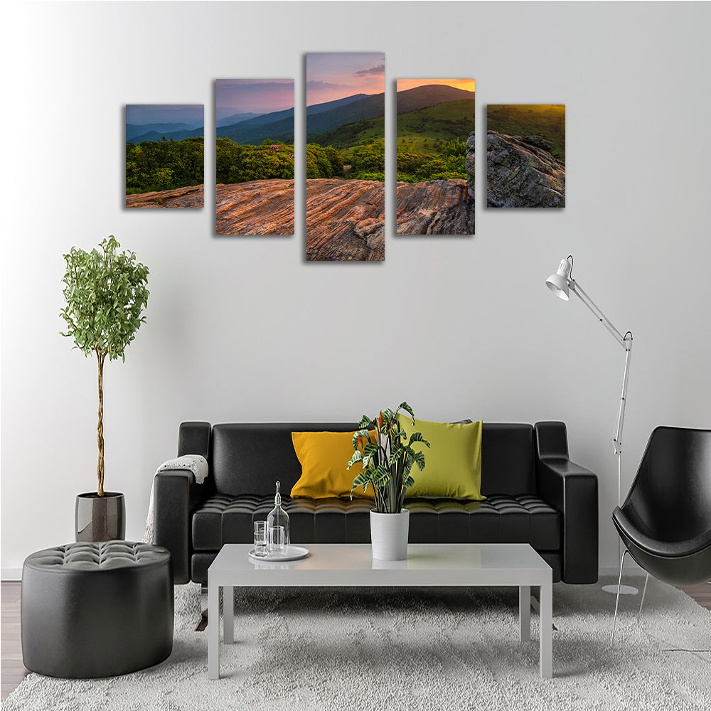 Appalachian Trail Roan Mountain state Park Wall Art