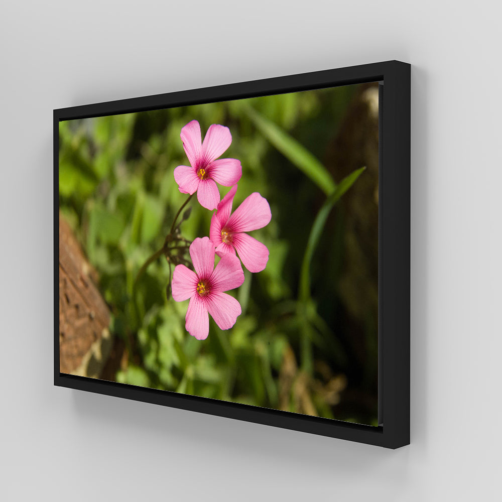Purple Wildflower - North Arkansas Wall Art
