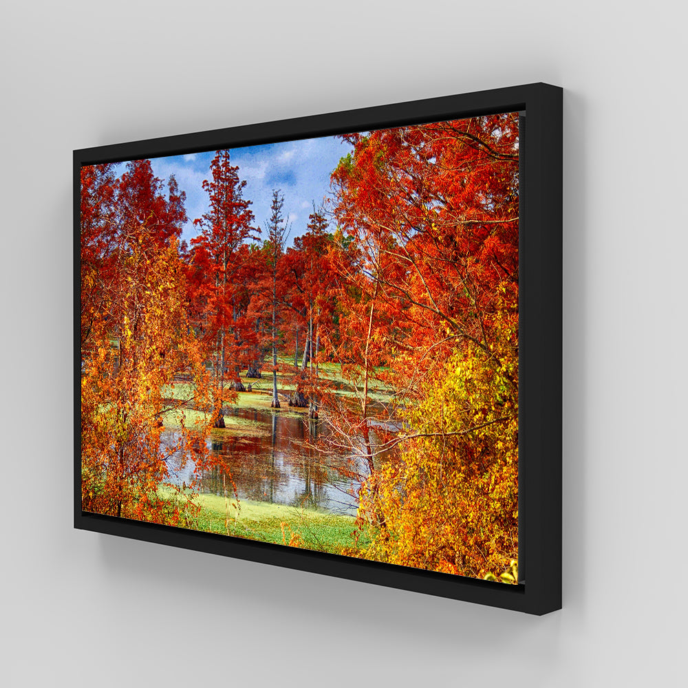 Lake Conway Cypress Trees Wall Art