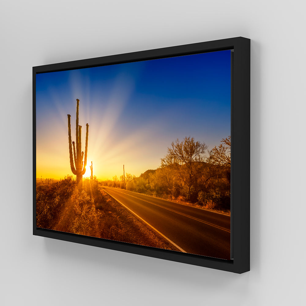 Saguaro National Park Setting Sun Wall Art