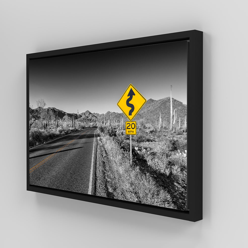Saguaro National Park Bajada Loop Drive Wall Art
