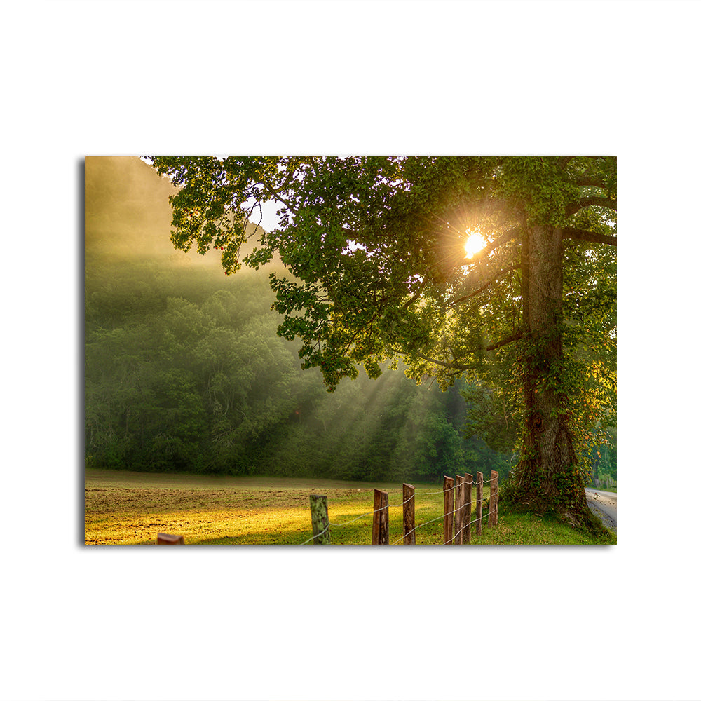 Cades Cove Wall Art