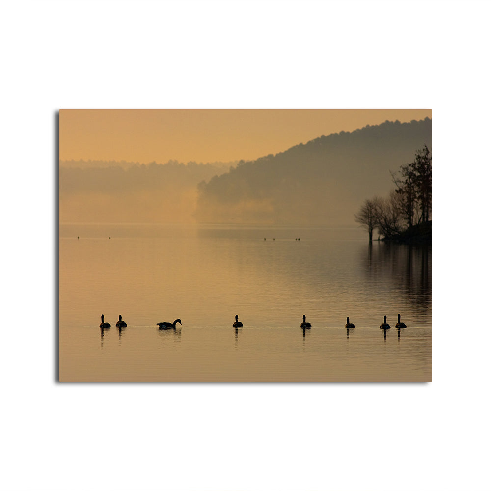Geese on Lake Degray Wall Art