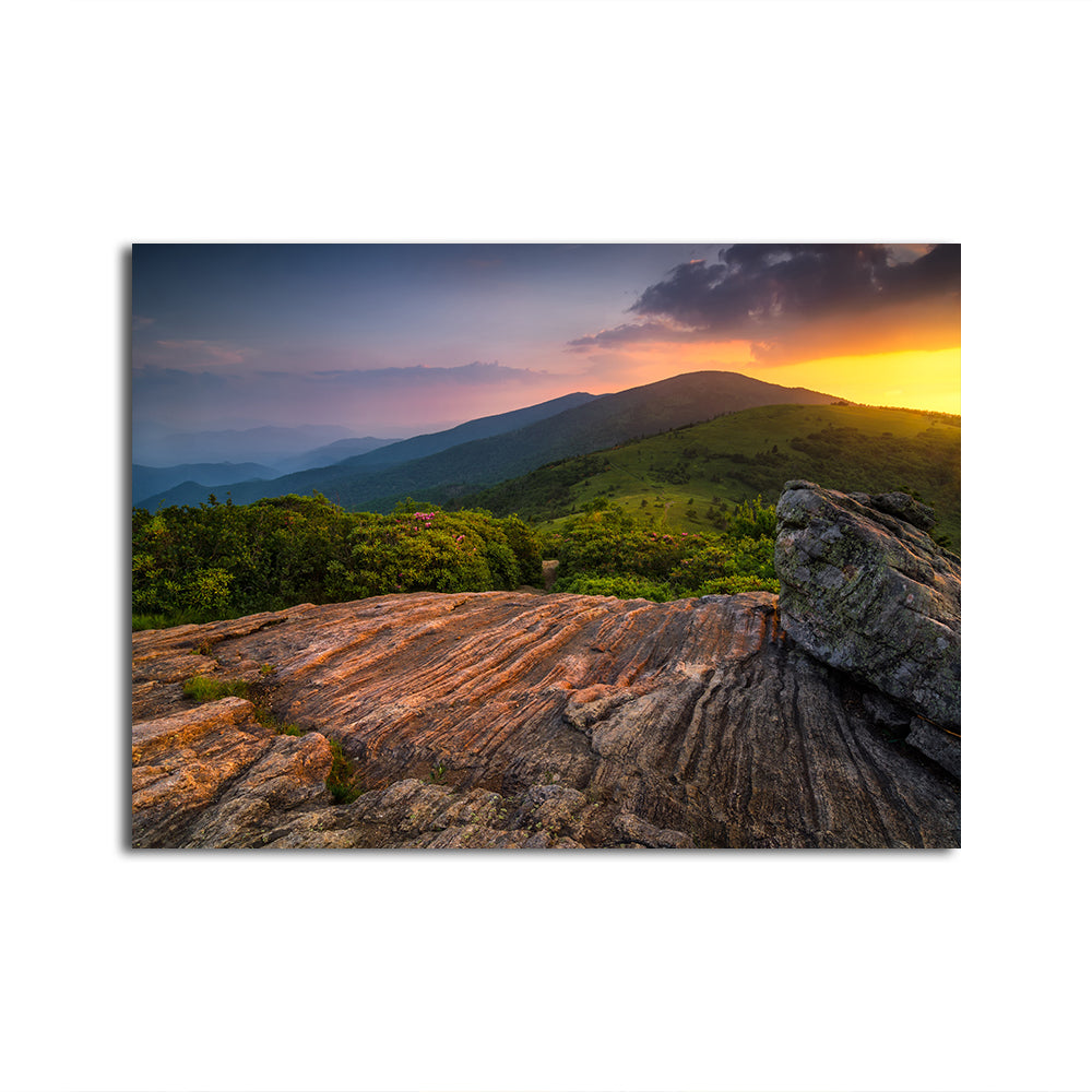 Appalachian Trail Roan Mountain state Park Wall Art
