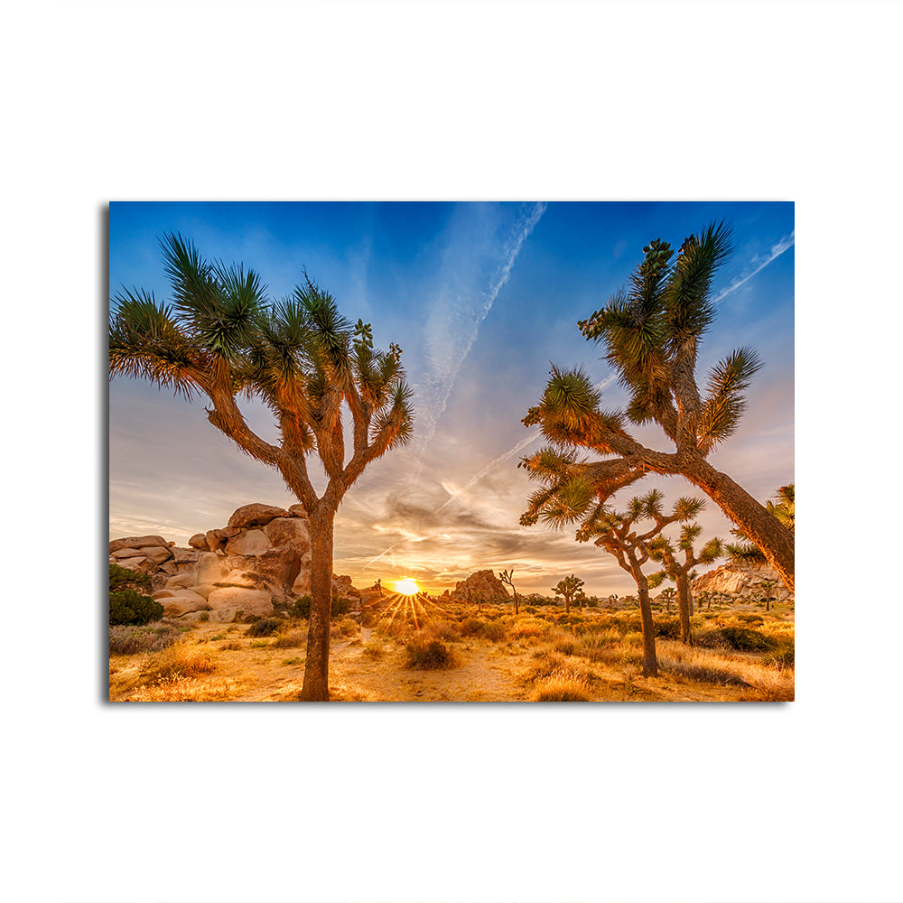 Sunset at Joshua Tree National Park Wall Art