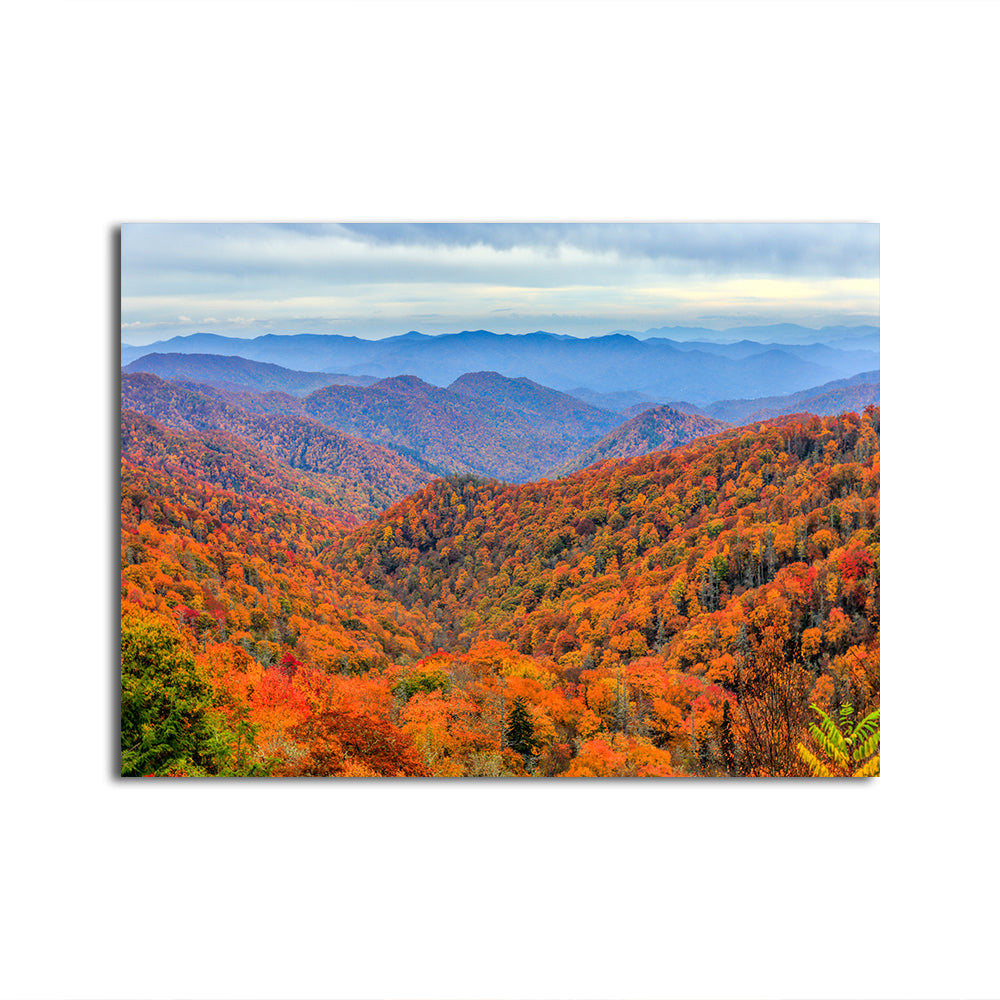 Great Smoky Mountains Autumn Wall Art