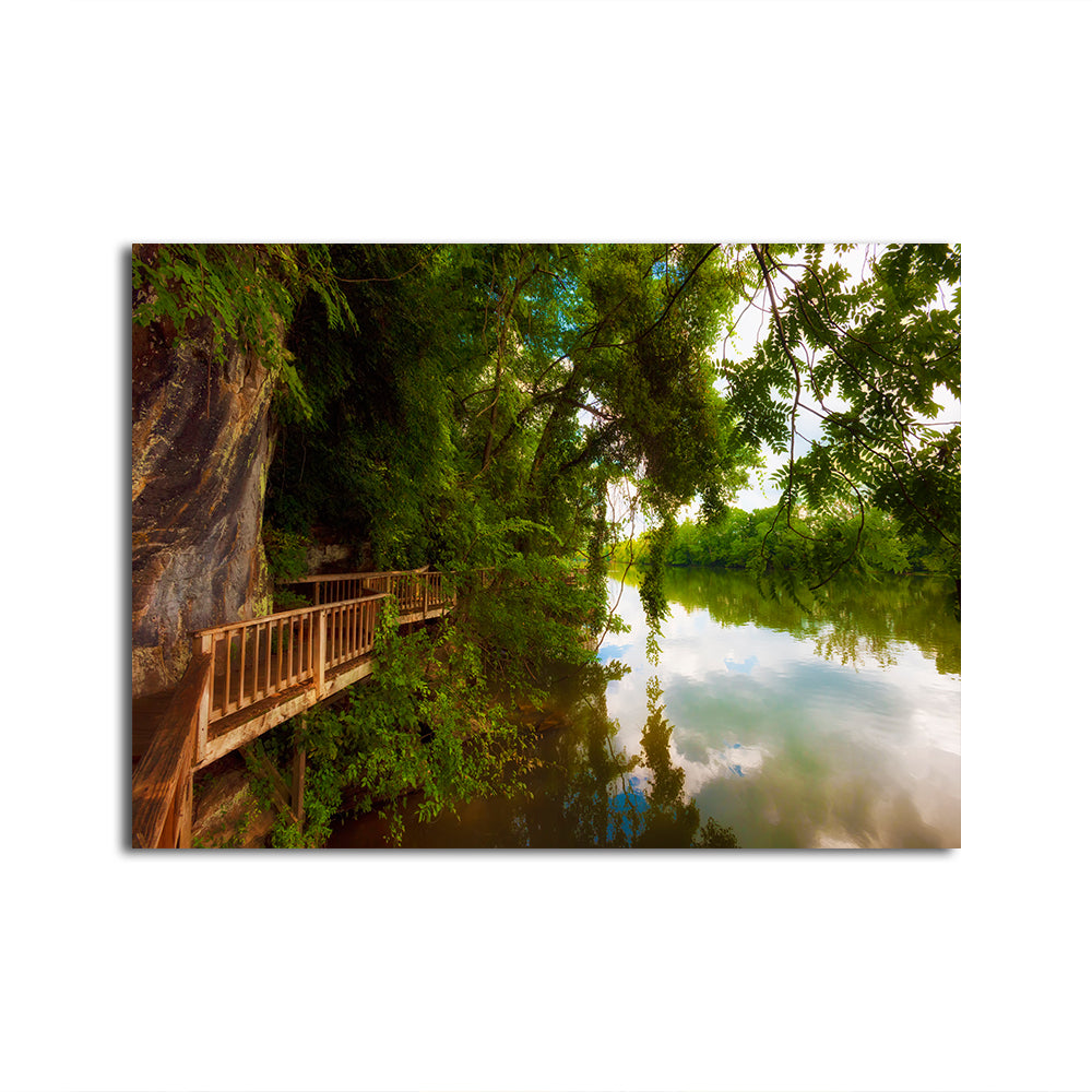 Ijam Nature Park Boardwalk Wall Art