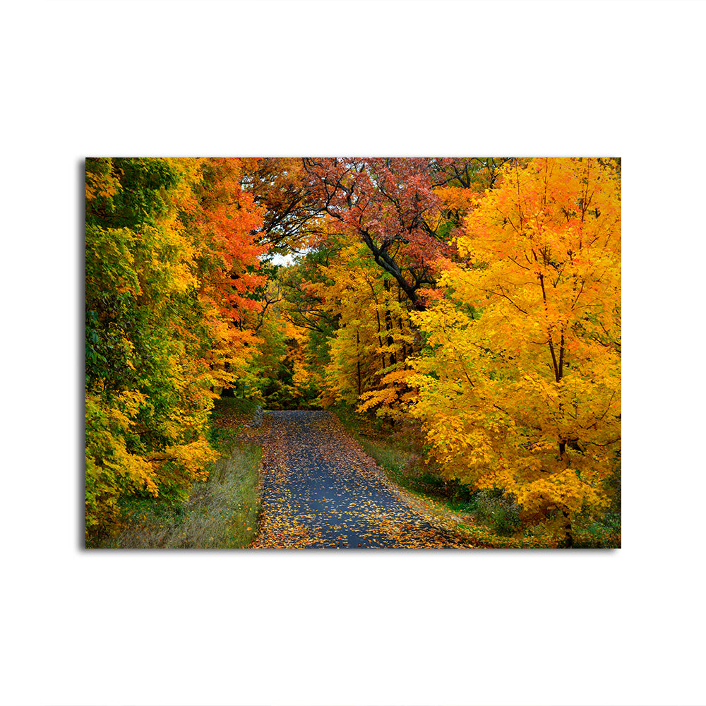 Lake Geneva Wisconsin Fall Road Wall Art