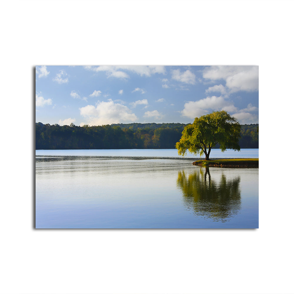 Willow Tree On The Tennessee River Wall Art