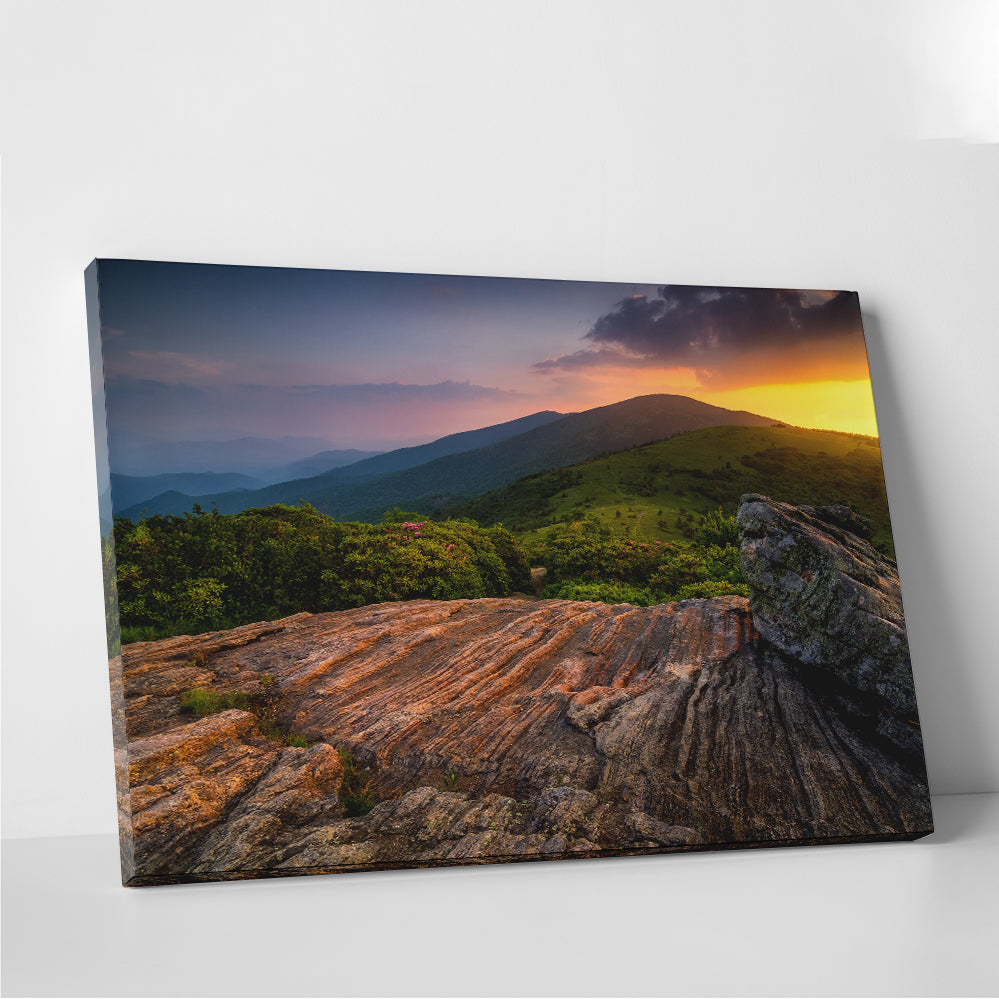 Appalachian Trail Roan Mountain state Park Wall Art