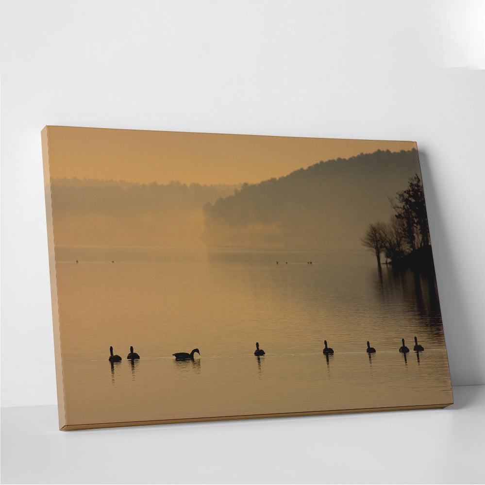 Geese on Lake Degray Wall Art