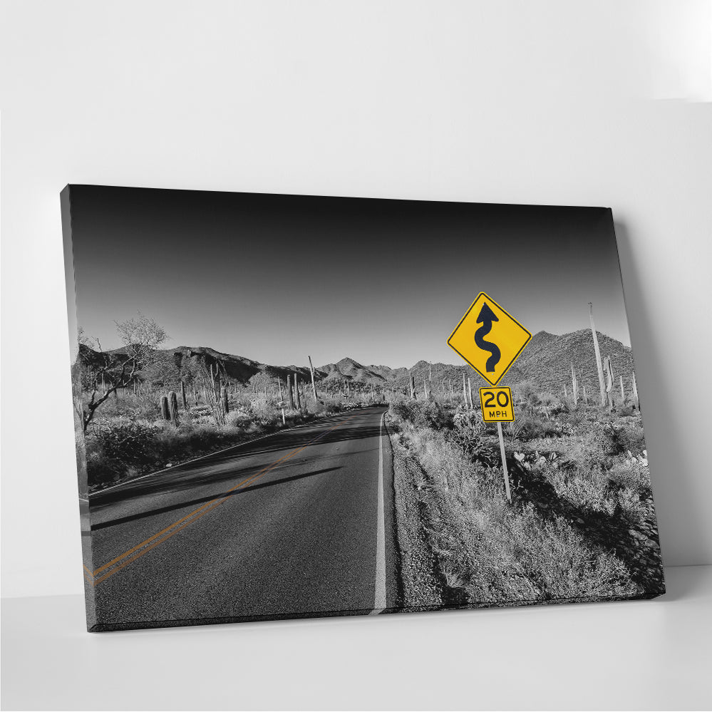 Saguaro National Park Bajada Loop Drive Wall Art