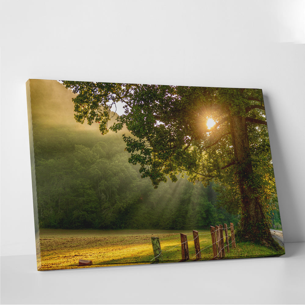 Cades Cove Wall Art